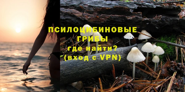 молекула духа Бронницы