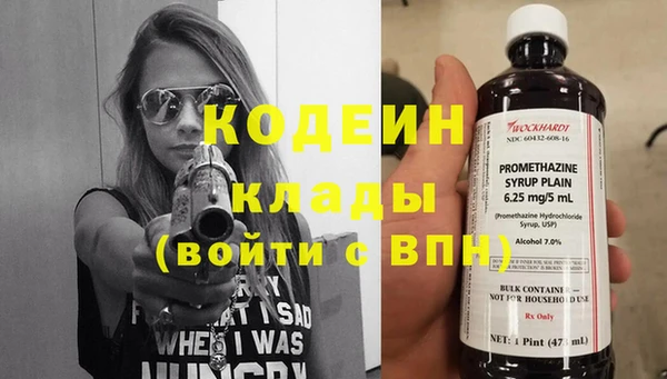 молекула духа Бронницы