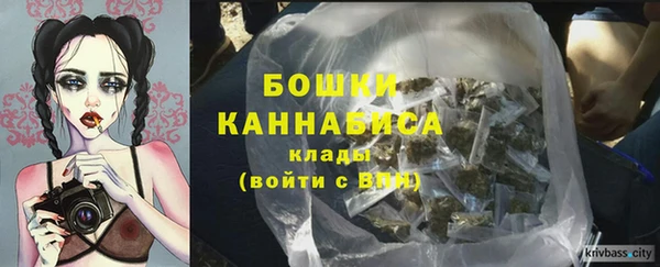молекула духа Бронницы
