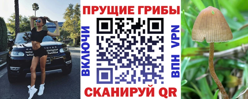 Галлюциногенные грибы ЛСД  цена   Горячий Ключ 